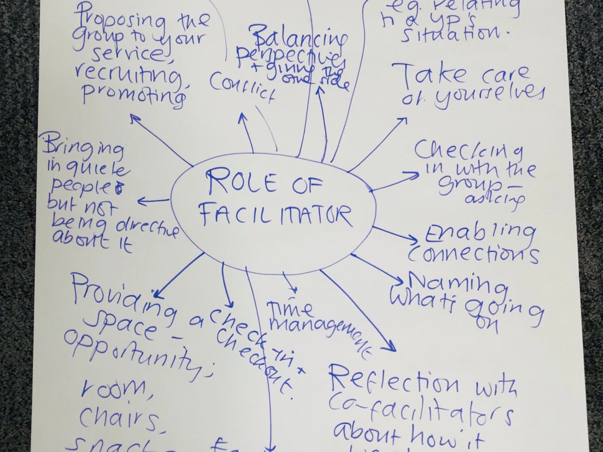 Peer supervision for Hearing Voices Group facilitators