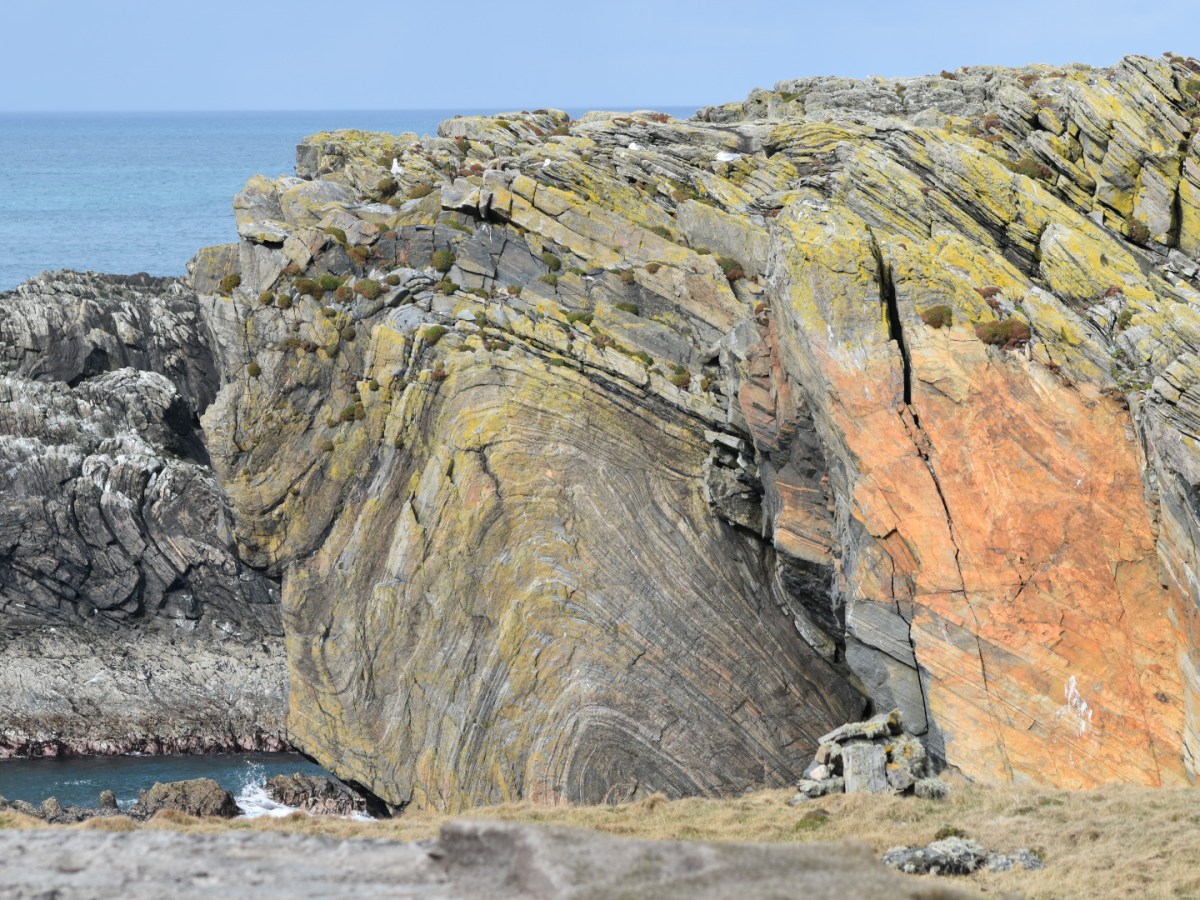 The Land is Alive #intro