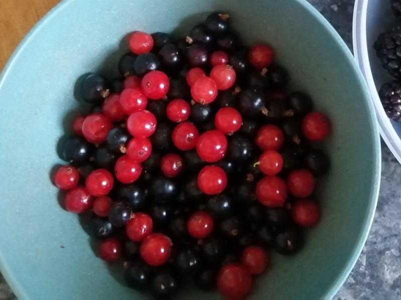 The Land is Alive #1 where my family lives